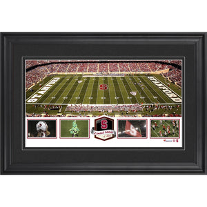 Stanford Stadium Stanford Cardinal Framed Panoramic Collage-Limited Edition of 500