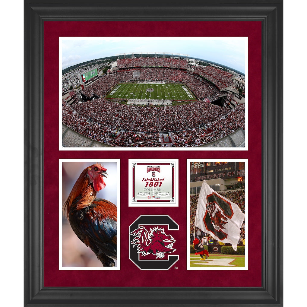 South Carolina Gamecocks Williams-Brice Stadium Framed 20'' x 24'' 3-Opening Collage