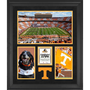 Tennessee Volunteers Neyland Stadium Framed 20'' x 24'' 3-Opening Collage