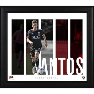 Pedro Santos D.C. United 15'' x 17'' Player Panel Collage