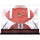 College Football Playoff Mahogany Football Display Case