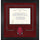 Arkansas Razorbacks Deluxe 8.5'' x 11'' Diploma Frame with Team Logo