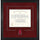 Arkansas Razorbacks Deluxe 11'' x 14'' Diploma Frame with Team Logo