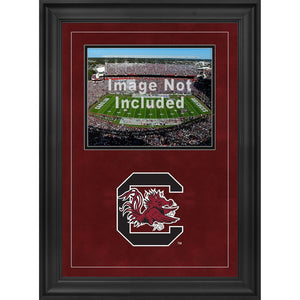 South Carolina Gamecocks 8'' x 10'' Deluxe Horizontal Photograph Frame with Team Logo