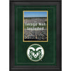 Colorado State Rams 8'' x 10'' Deluxe Vertical Photograph Frame with Team Logo