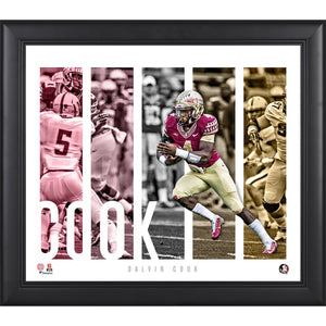 Dalvin Cook Florida State Seminoles Framed 15'' x 17'' Player Panel Collage