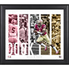 Dalvin Cook Florida State Seminoles Framed 15'' x 17'' Player Panel Collage