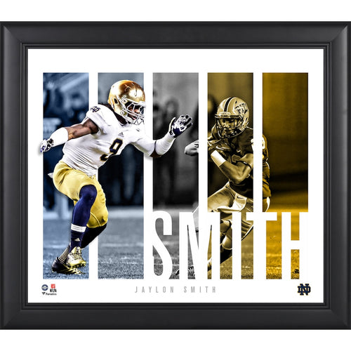 Jaylon Smith Notre Dame Fighting Irish Framed 15'' x 17'' Player Panel Collage