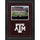 Texas A&M Aggies Deluxe 8'' x 10'' Horizontal Photograph Frame with Team Logo