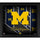 Michigan Wolverines Framed 15'' x 17'' Team Threads Collage