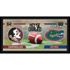 Florida State Seminoles vs. Florida Gators Framed 10'' x 20'' House Divided Football Collage