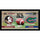 Florida State Seminoles vs. Florida Gators Framed 10'' x 20'' House Divided Football Collage
