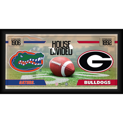 Florida Gators vs. Georgia Bulldogs Framed 10'' x 20'' House Divided Football Collage