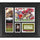 Warrick Dunn Florida State Seminoles Framed 15'' x 17'' Player Core Collage