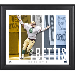 Jerome Bettis Notre Dame Fighting Irish Framed 15'' x 17'' Player Panel Collage