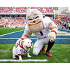 Georgia Bulldogs Unsigned Hairy Dawg with Uga Photograph