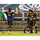 Christian Ramirez Houston Dynamo Unsigned Goal Celebration in Win vs. Sporting Kansas City Photograph