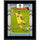 Dayne St. Clair Minnesota United FC 10.5'' x 13'' Sublimated Player Plaque