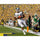 Le'Veon Bell Michigan State Spartans Unsigned Touchdown vs. Michigan Photograph