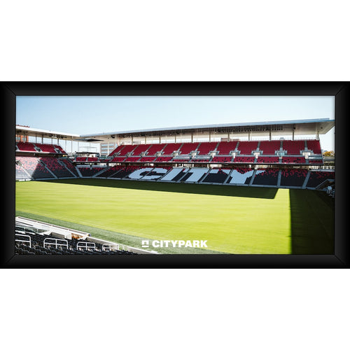 St. Louis City SC Framed 10'' x 20'' Fan Cave Collage