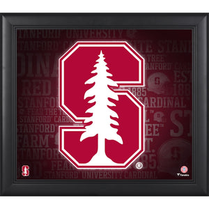 Stanford Cardinal Framed 15'' x 17'' Team Heritage Collage