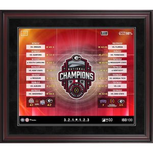 Fanatics Authentic Georgia Bulldogs College Football Playoff 2022 National Champions 20'' x 24'' Collage