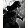Bushiroad Se-Asia Pte Ltd -  Godzilla Card Game: Booster Set #1 (12Ct)