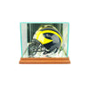 Mini Football Helmet Display Case with Walnut Moulding