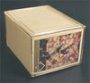 Pro Mold 250ct Plastic Box -