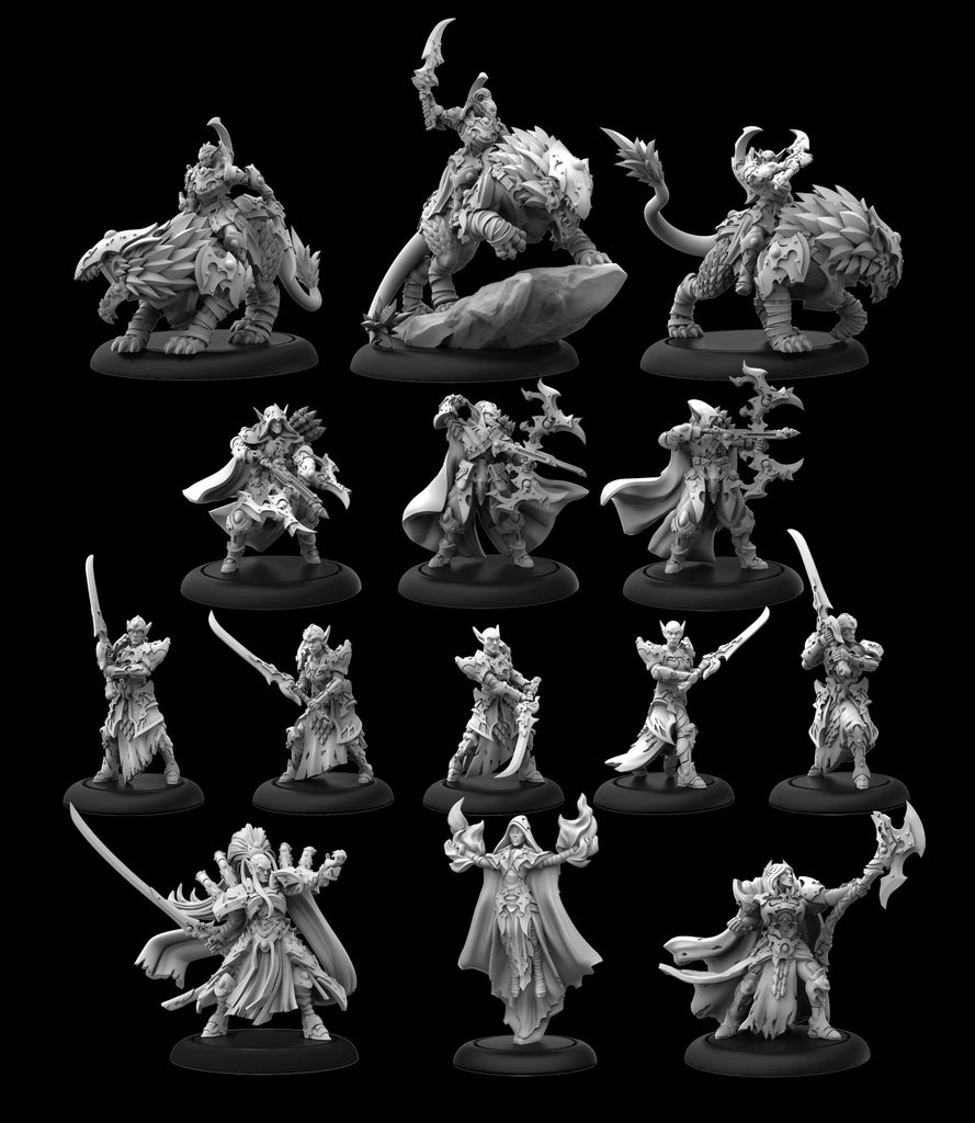 Privateer Press - Warmachine Mkiv: Dusk House Kallyss Army Expansion