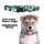 Chicago Bears Pet Collar Size M - Little Earth