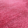 Fanmats - University of Houston 5x8 Rug 59.5''x88''