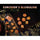 Role 4 Initiative Llc -  7Ct Dice Set With Arch'd4: Classes And Creatures Collection: Diffusion: Sorcerer's Bloodline (Special Reserve)