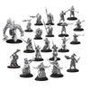 Steamforged Games - Warmachine: Dusk - House Kallyss Core Expansion