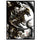 Square Enix -  Final Fantasy: Card Sleeve Series (Volume 2): Bahamut (Ffcss-17) (100Ct)