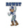 Dallas Cowboys Pennant Shape Cut Mascot Design - Rico Industries
