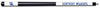 KENTUCKY ENGRAVED BILLIARD CUE WHITE / BLUE - UKYBCE101