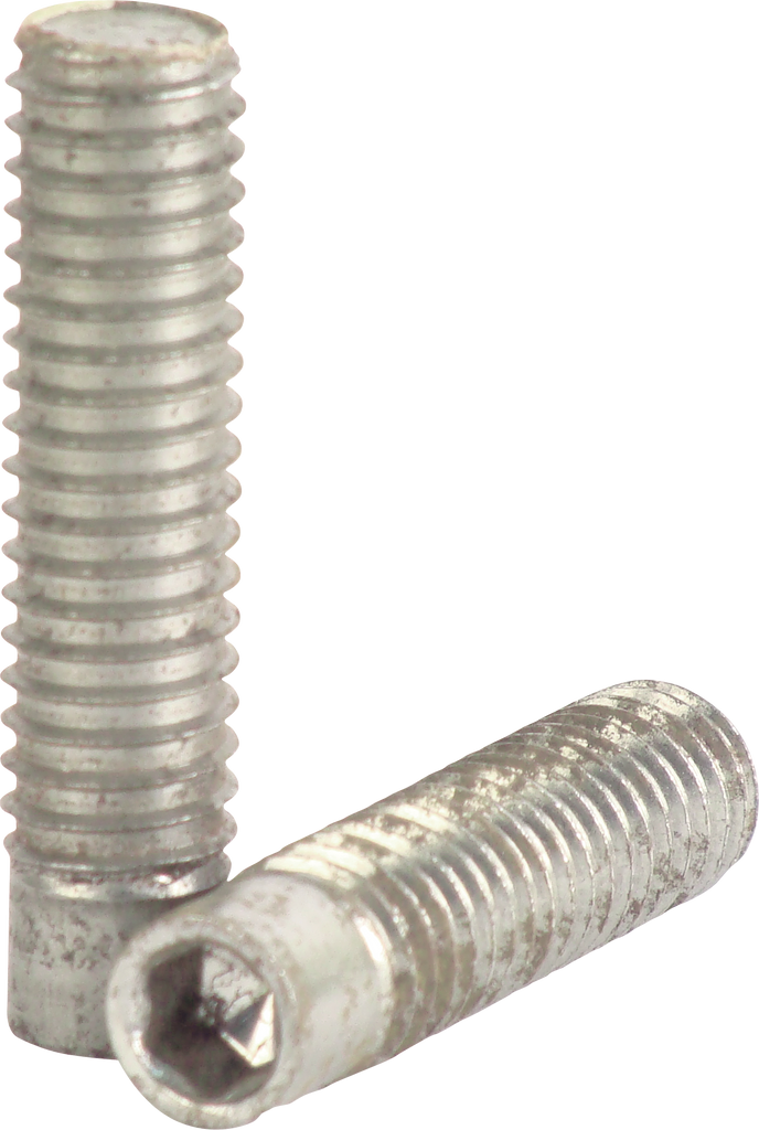 Action WBACT Weight Bolt - 2 Weight bolts