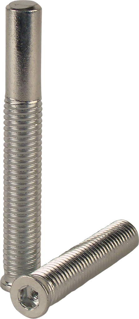 Outlaw WBOL Weight Bolt - 5 Weight bolts