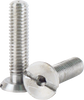 Schon WBSCH Weight Bolt - 0.8 Weight bolts