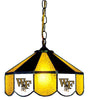 WAKE FOREST 14'' SWAG HANGING LAMP - WFU-140SWN