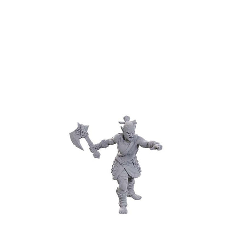 Wizkids -  Pathfinder Battles Deep Cuts: W24 Lifeleecher Brawler