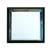 Wall Mounted Base Display Case with Black Moulding