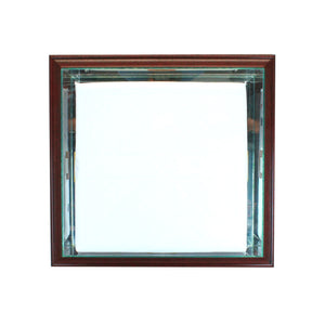 Wall Mounted Base Display Case with Cherry Moulding