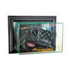 Wall Mounted Glove Display Case with Black Moulding