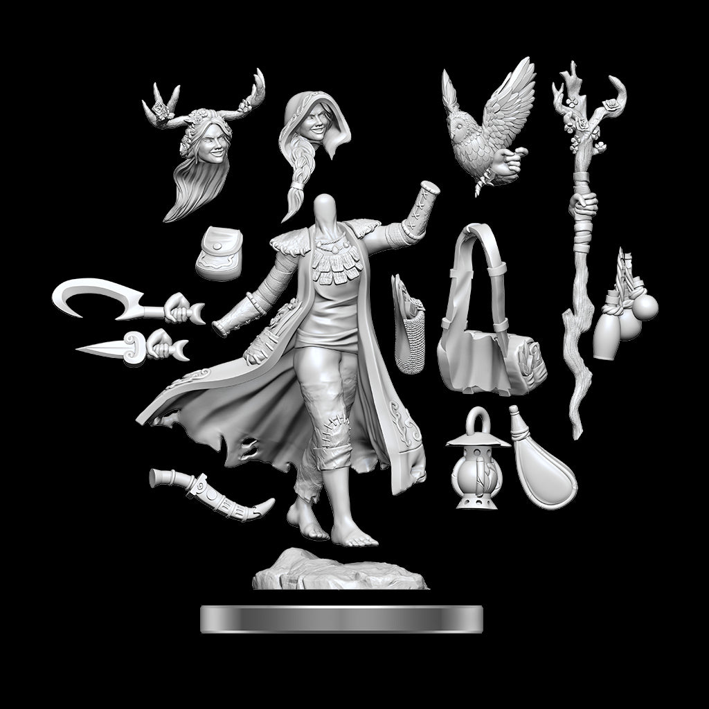 Wizkids - D&D Frameworks Human Druid Female