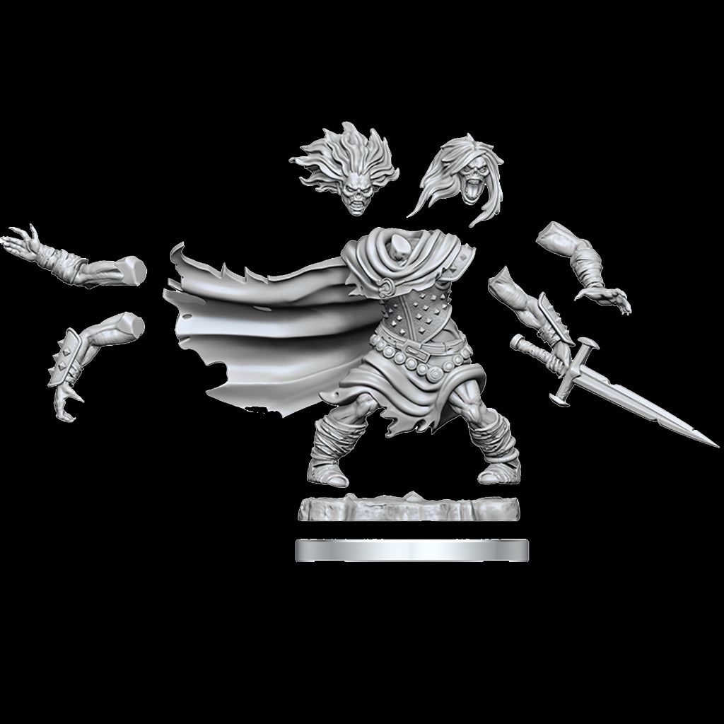 Wizkids - D&D Frameworks Wight