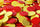 B-Token TOPLSTEM02 Embossed Tokens in Red with Star