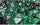 Chessex Mfg Co Llc -  D6 -- 12Mm Translucent Dice - Green/White; 36Ct