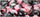 Chessex Mfg Co Llc -  D6 -- 12Mm Gemini Dice - Black-Pink/White; 36Ct